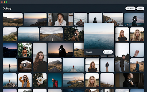 X Media Gallery — Download Photos & Videos screenshot