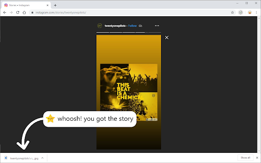Story Saver screenshot