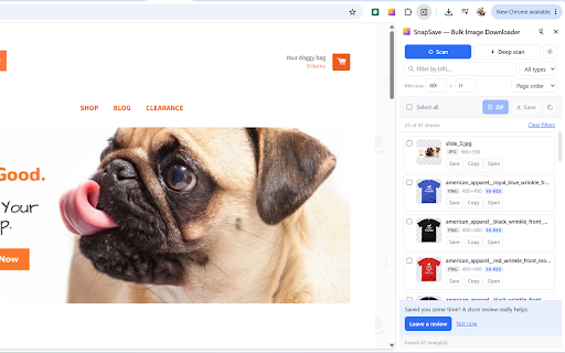 SnapSave — Bulk Image Downloader screenshot
