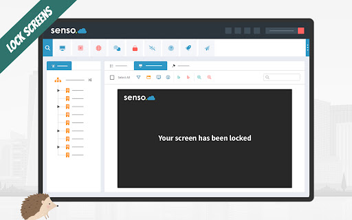 Senso Extension screenshot