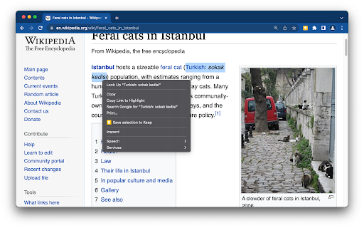 Google Keep Chrome Extension screenshot