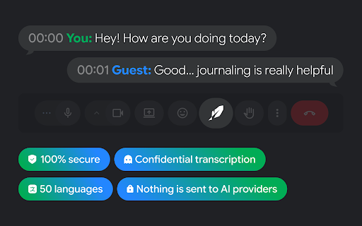 Google Meet Transcript screenshot