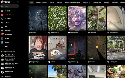 TikTok Browser Downloader screenshot