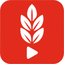 YuLaF – YouTube Language Filter. Language Immersion & Focus icon