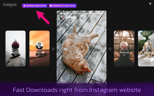 Mass Downloader for Instagram screenshot