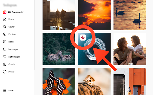 Instagram Downloader screenshot