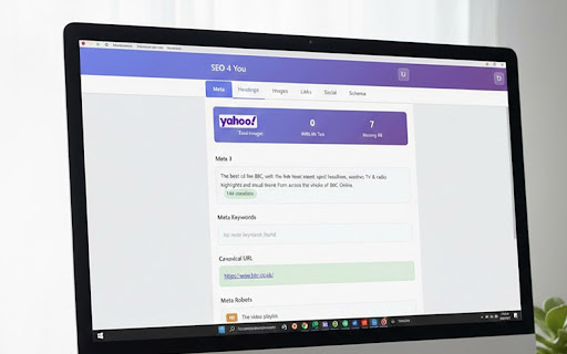 SEO 4 You screenshot
