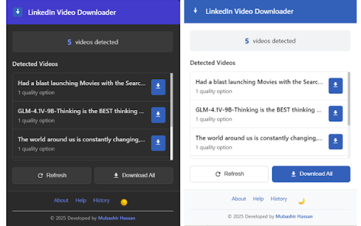 LinkedIn Video Downloader screenshot