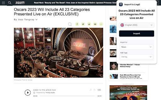LingQ Importer screenshot