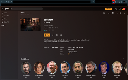 Plex Download Extension screenshot