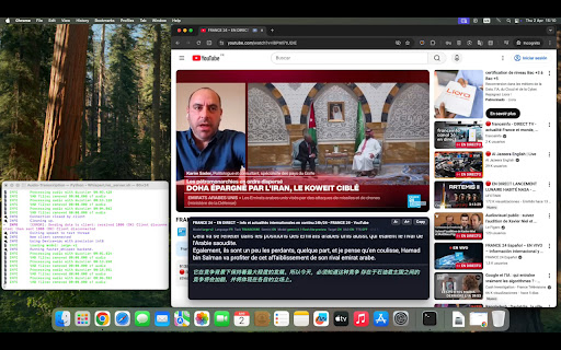Audio Transcription & Live Interpreter screenshot