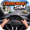 Car Driving Simulator icon