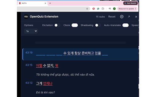 OpenQuiz - YT/Netflix Shadowing & Translate screenshot