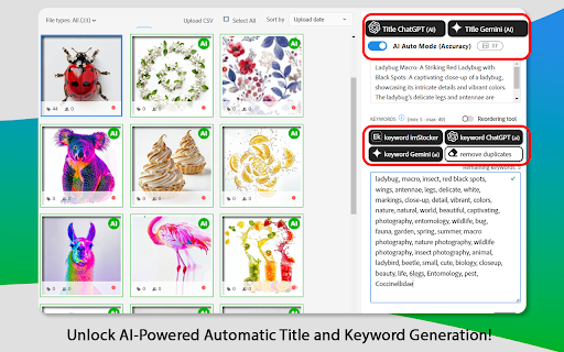 Easy Keywords for AdobeStock screenshot