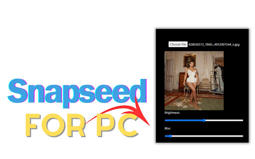 Snapseed for Pc,Windows and Mac (Free Download) screenshot