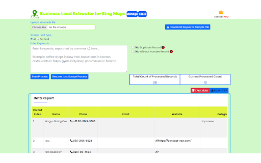 Business Lead Extractor for Bing Maps screenshot