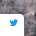 Twitter Animator icon