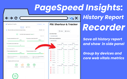 PageSpeed Insights Shortcut & History Report Recorder screenshot