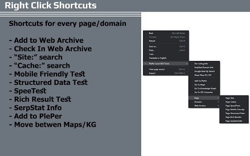 PlePer Local SEO Tools screenshot