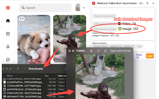 Pinterest Video Bulk Downloader - HD Video and Images screenshot
