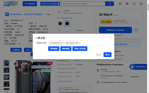 OZONBIGSELL - 专注OZON平台数据分析 - 国内开发OZON插件第一人 screenshot