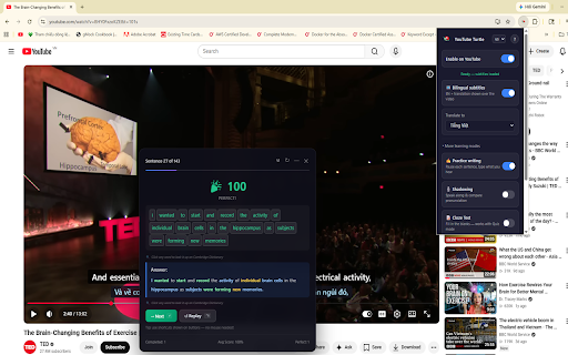 YouTube Turtle screenshot