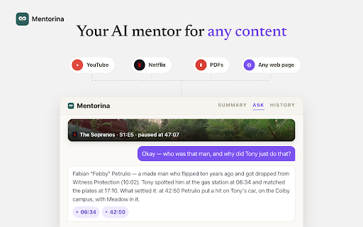 Mentorina: AI Video, PDF & Page Summarizer screenshot