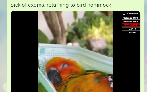 Twitter Gif & Video Downloader screenshot