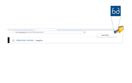 Canvas Quick Student View (any host name) screenshot