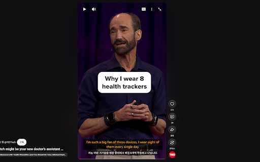 Dual Subtitle for YouTube screenshot
