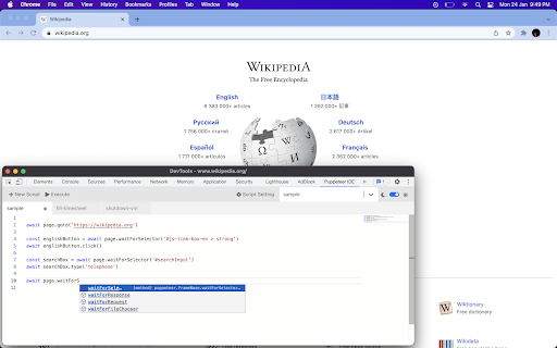 Puppeteer IDE screenshot