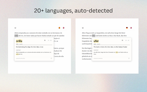 Anki Dictionary screenshot