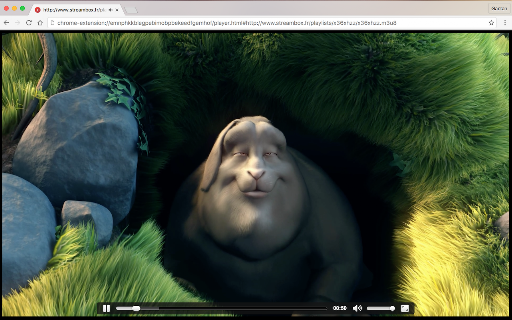 Native HLS Playback screenshot
