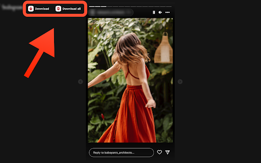 Instagram Downloader screenshot
