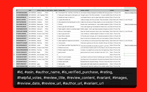 Amazon Reviews Scraper - Extract Amazon Reviews to CSV/Excel/JSON screenshot
