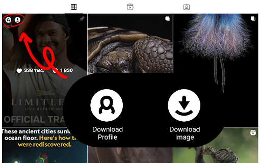 Inflact Downloader for Instagram screenshot