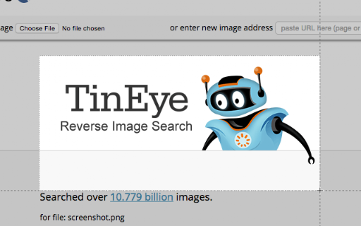 Reverse Image Search screenshot