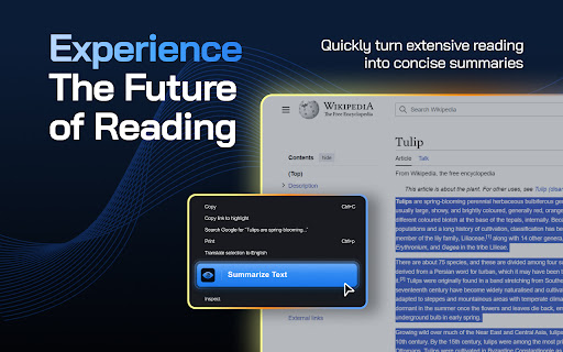 Article Summarizer AI screenshot
