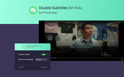 Double Subtitles for Hulu by MovieLingo screenshot
