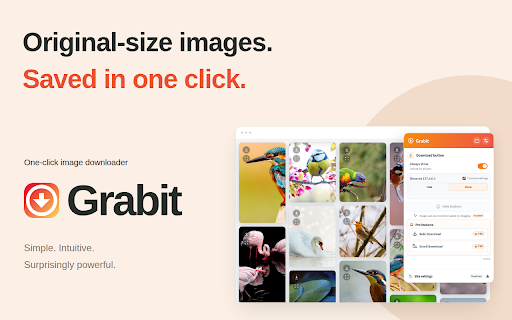 One-click image downloader - Grabit screenshot