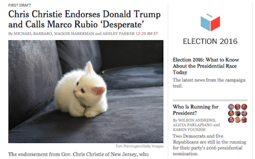 Make America Kittens Again screenshot