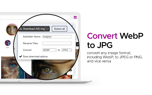 Image downloader - Imageye screenshot