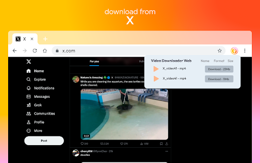 Video Downloader Web screenshot