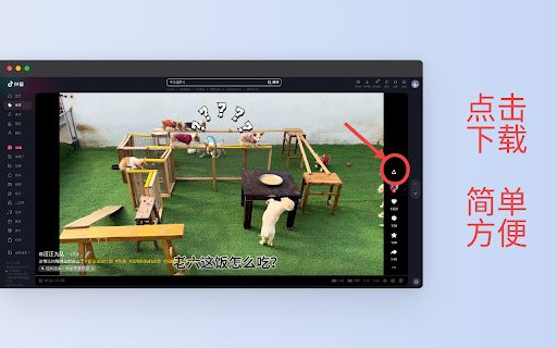 阿抖-抖音视频采集助手 screenshot