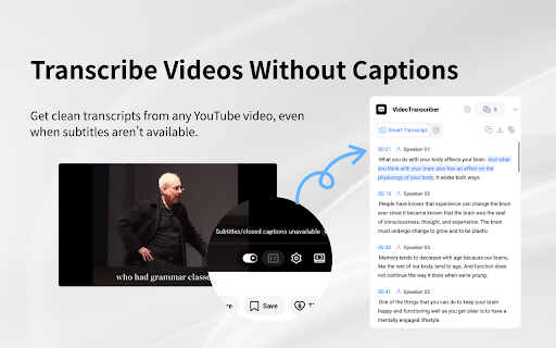 YouTube Transcript & Summary Generator with ChatGPT & Gemini screenshot
