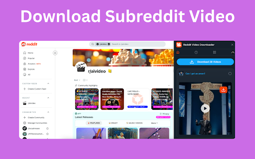 Reddit Video Downloader - Download from Posts, Profiles & Subreddits screenshot