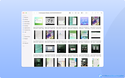 X Media Downloader – Download Twitter/X Images & Videos screenshot