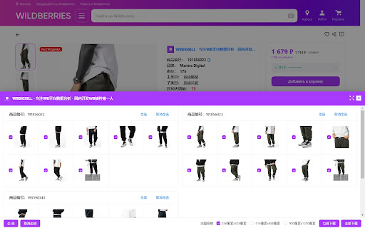 WBBIGSELL - 专注WB平台数据分析 - 国内开发WB插件第一人 screenshot