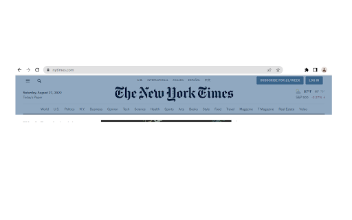 PageRip (HTML + CSS Extract) screenshot
