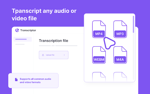 Audio SpeechScribe: Audio to Text screenshot